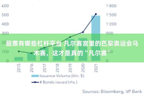 股票有哪些杠杆平台 凡尔赛宫里的巴黎奥运会马术赛，这才是真的“凡尔赛”