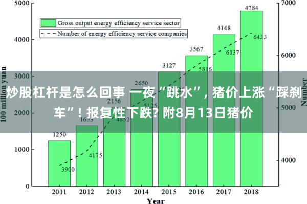 炒股杠杆是怎么回事 一夜“跳水”, 猪价上涨“踩刹车”! 报复性下跌? 附8月13日猪价