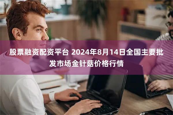 股票融资配资平台 2024年8月14日全国主要批发市场金针菇价格行情