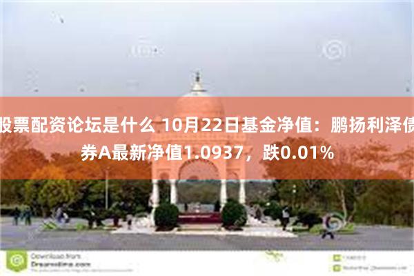 股票配资论坛是什么 10月22日基金净值：鹏扬利泽债券A最新净值1.0937，跌0.01%