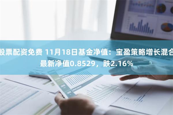 股票配资免费 11月18日基金净值：宝盈策略增长混合最新净值0.8529，跌2.16%