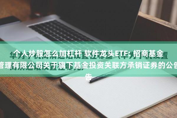 个人炒股怎么加杠杆 软件龙头ETF: 招商基金管理有限公司关于旗下基金投资关联方承销证券的公告