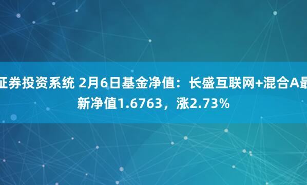 证券投资系统 2月6日基金净值：长盛互联网+混合A最新净值1.6763，涨2.73%