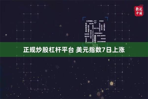 正规炒股杠杆平台 美元指数7日上涨