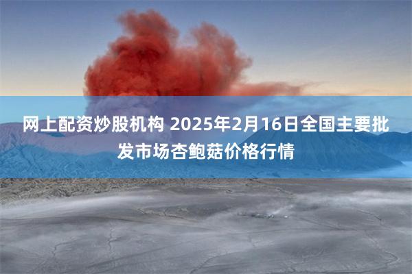 网上配资炒股机构 2025年2月16日全国主要批发市场杏鲍菇价格行情