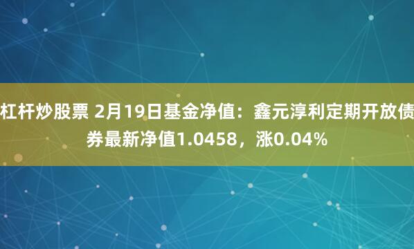 杠杆炒股票 2月19日基金净值：鑫元淳利定期开放债券最新净值1.0458，涨0.04%