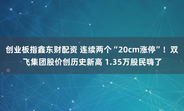 创业板指鑫东财配资 连续两个“20cm涨停”！双飞集团股价创历史新高 1.35万股民嗨了