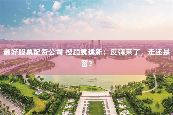 最好股票配资公司 投顾袁建新：反弹来了，走还是留？