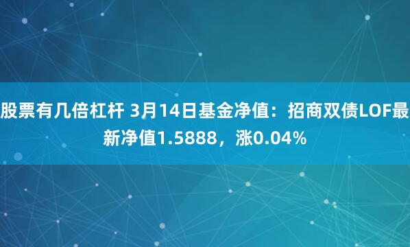 股票有几倍杠杆 3月14日基金净值：招商双债LOF最新净值1.5888，涨0.04%