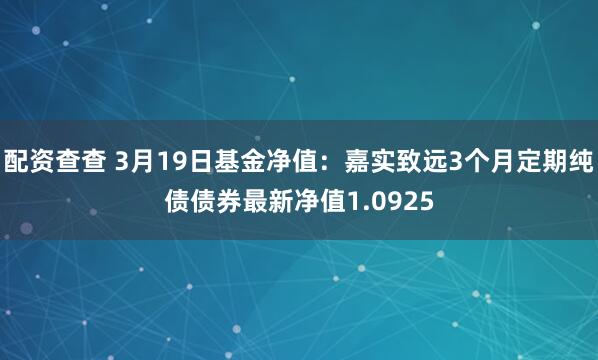 配资查查 3月19日基金净值：嘉实致远3个月定期纯债债券最新净值1.0925